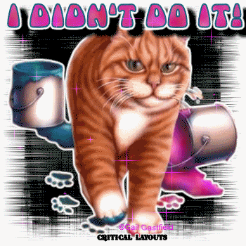 didnt-do-it-cat